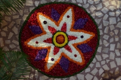 Copy of DSC_1259